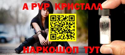 молекула духа Камышлов