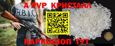 молекула духа Камышлов