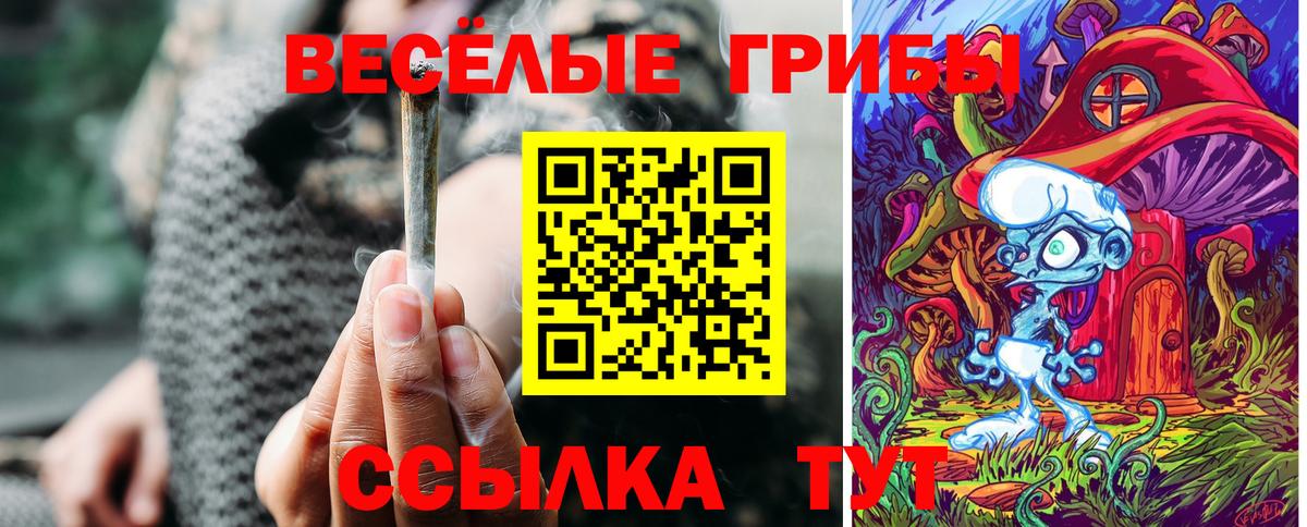 Краснодар  Галлюциногенные грибы Psilocybine cubensis  Вход с VPN 